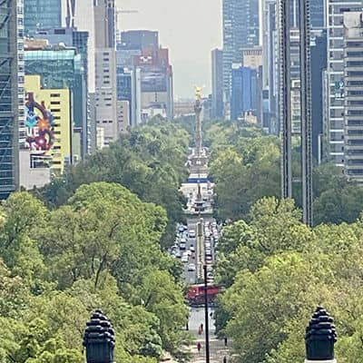 cuál franquicia comprar en México