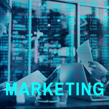 Marketing Digital para Franquicias