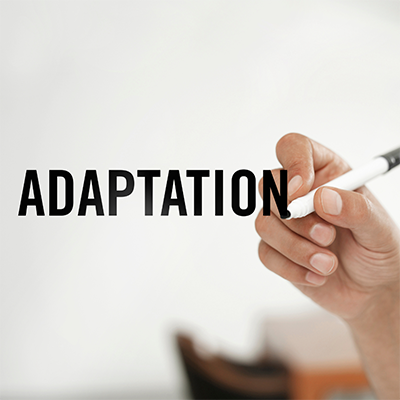 adaptaciones culturales en franquicias