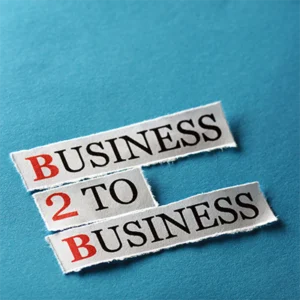 franquicias de servicios B2B